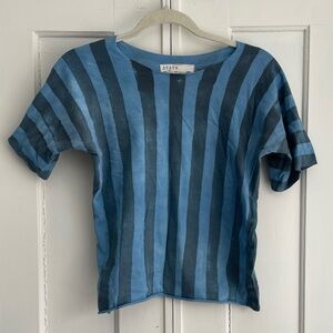 STATE the Label Medium Fitted Villain Tee in Blue Striped Tee Indie USA Made